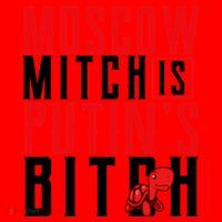 Moscow Mitch Is Putins B*tch Turtle Santa Hat thumb 1