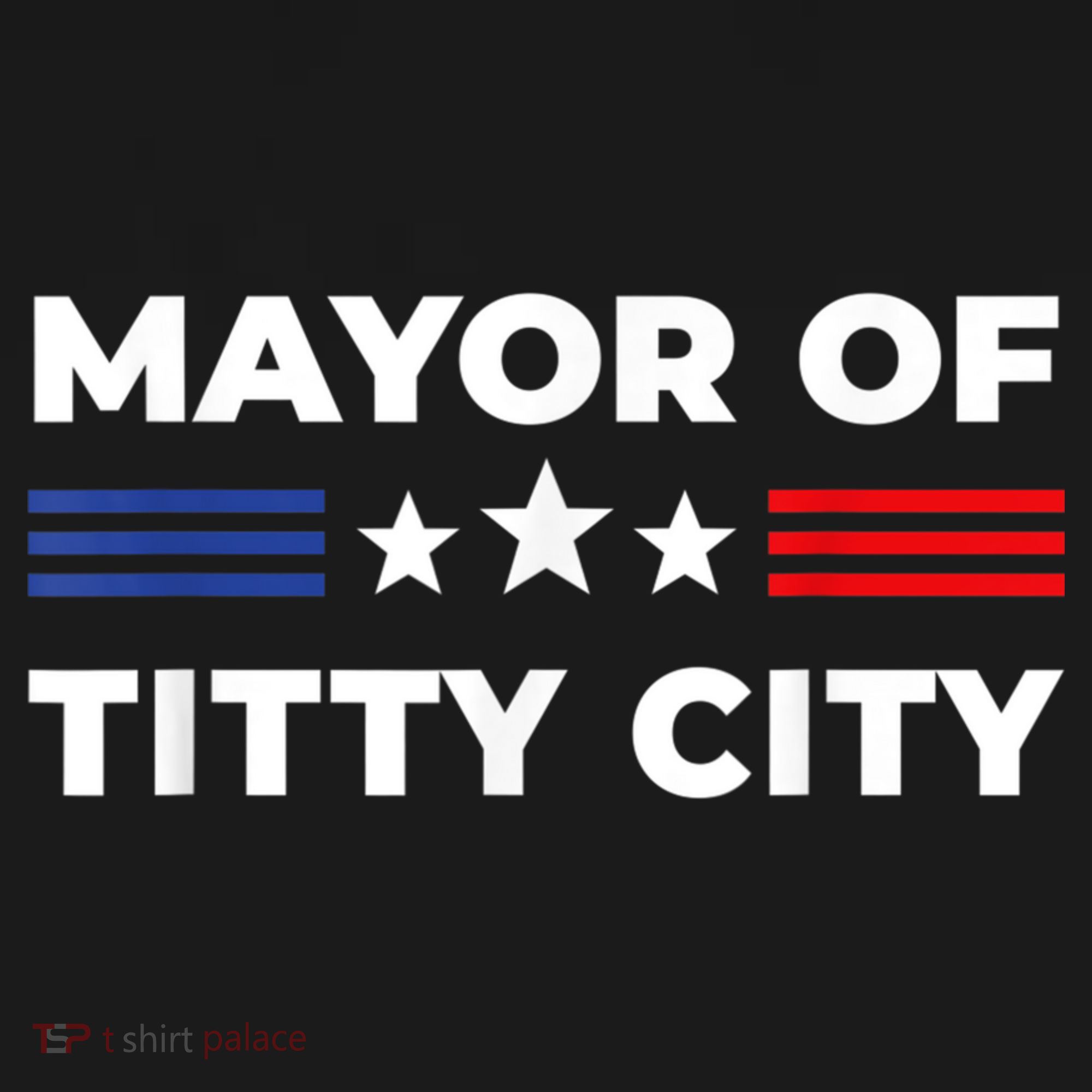 Mayor Of Titty City Funny Gift Women's Hoodie