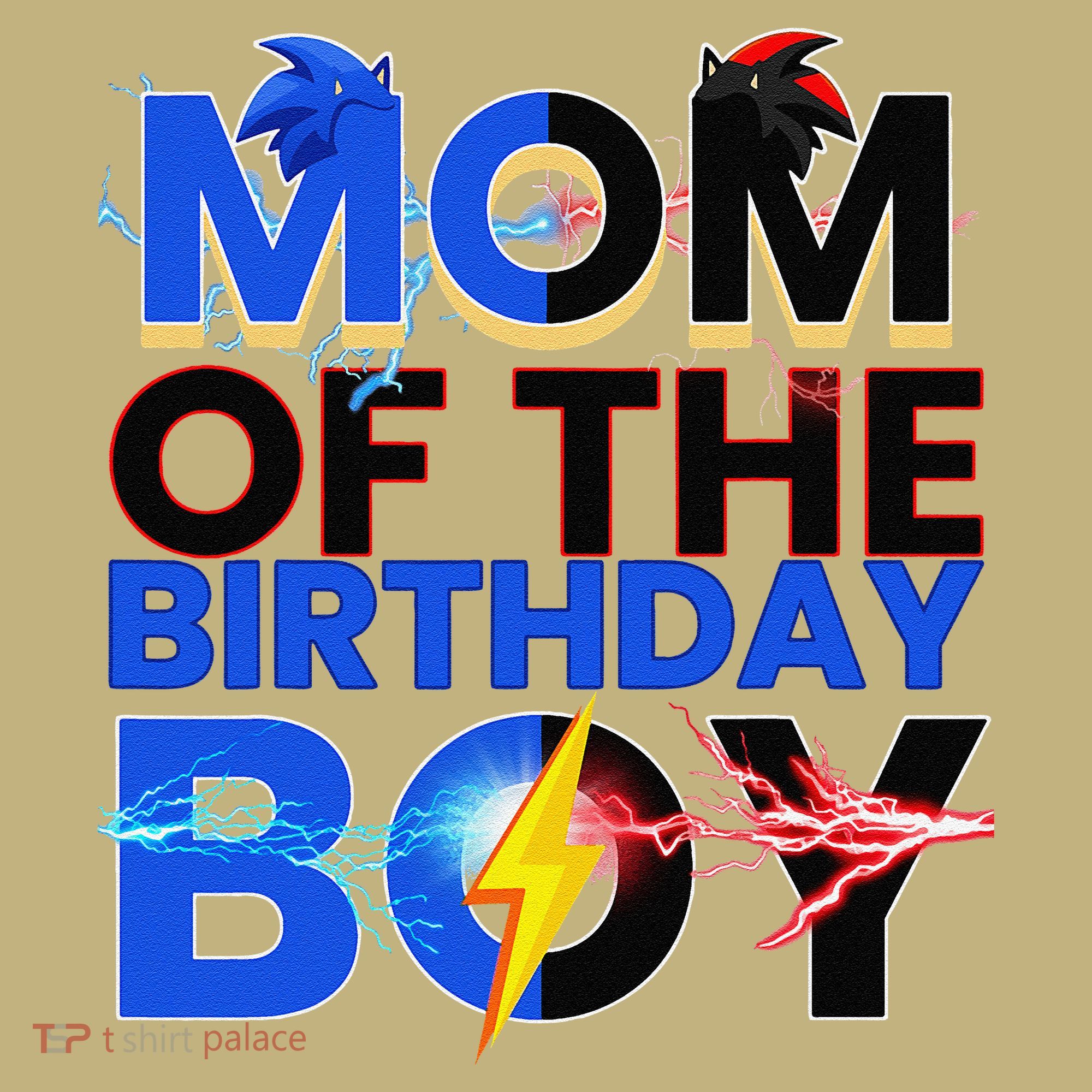 Mom Of The Birthday Boy Hedgehog Family Party Decorations T-Shirt