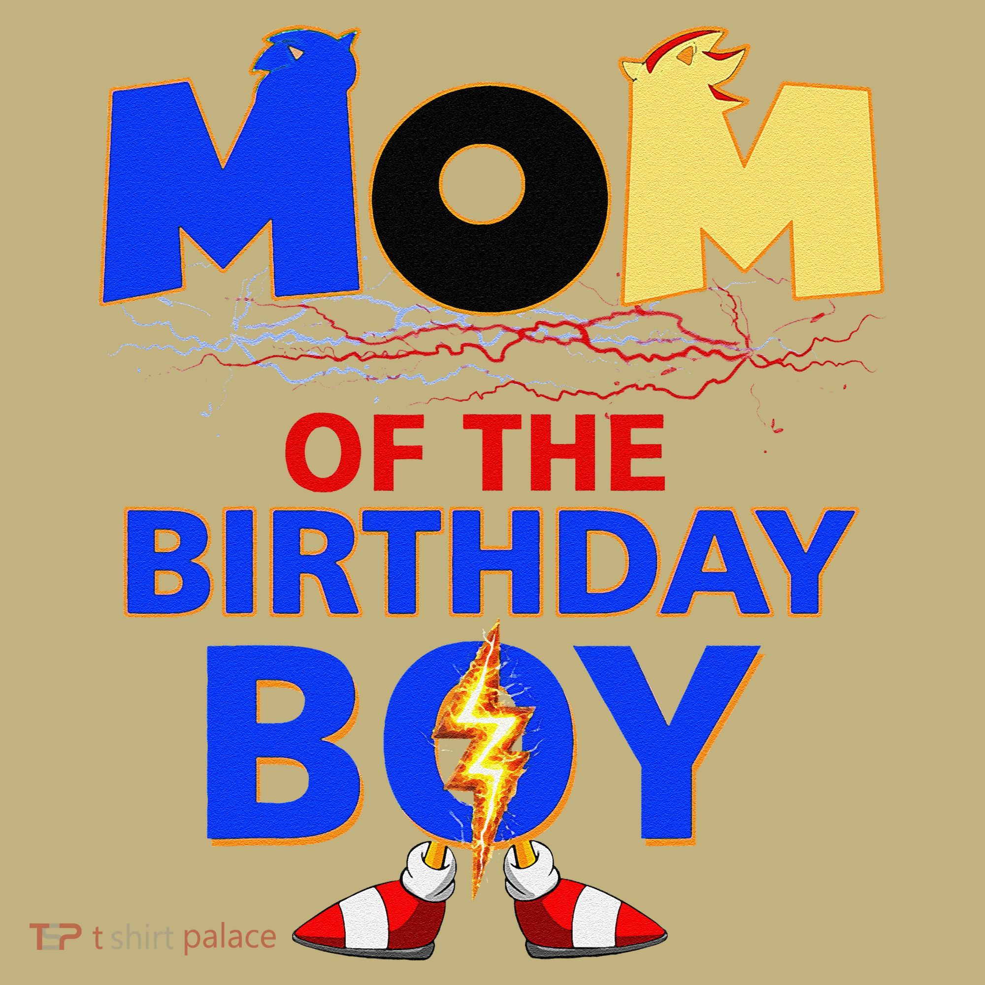 Mom Of The Birthday Boy Hedgehog Family Party Decorations T-Shirt