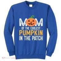 Mom Of The Coolest Pumpkin In The Patch Matching Halloween Cool Gift Sweatshirt thumb 0