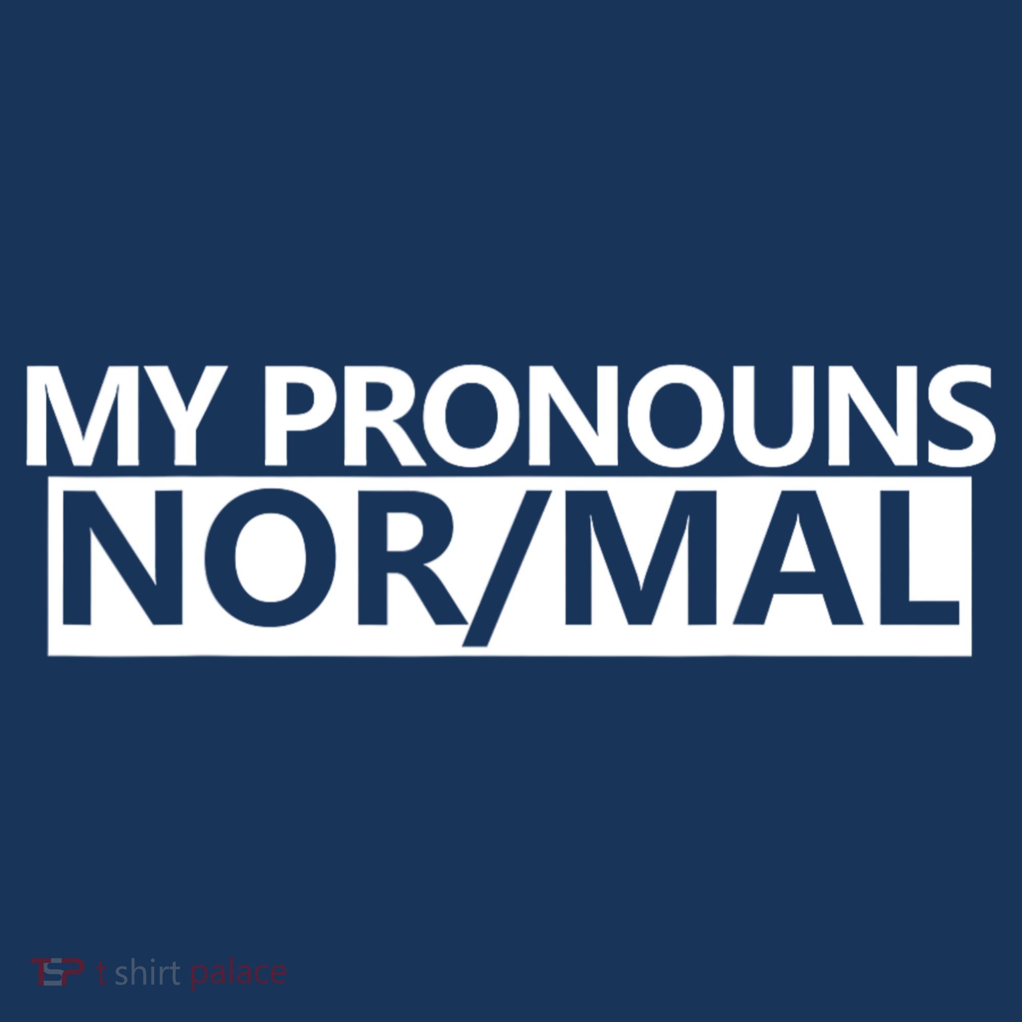 My Pronouns Are Nor/mal Funny Hat
