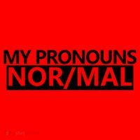 My Pronouns Are Nor/mal Funny Santa Hat thumb 1