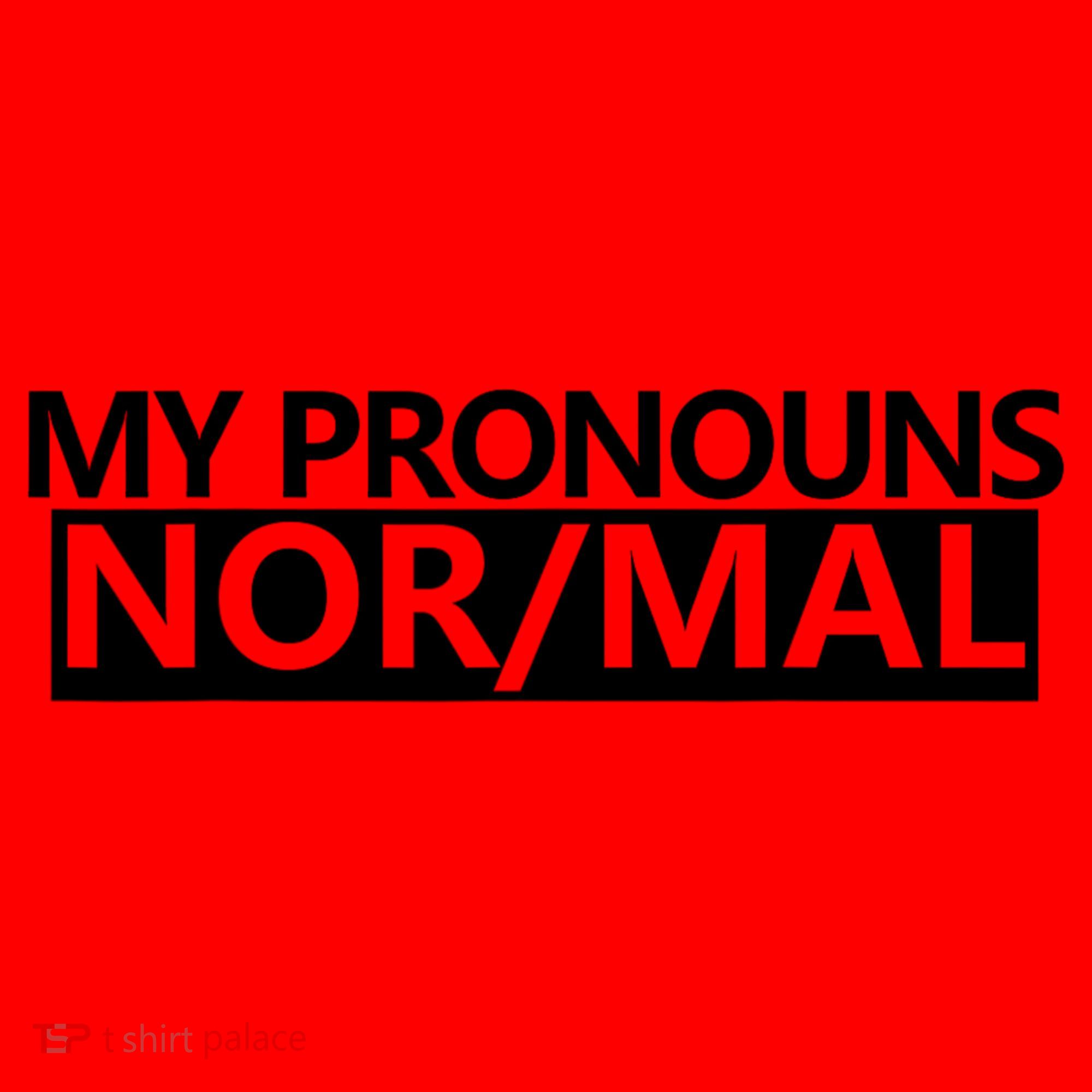 My Pronouns Are Nor/mal Funny Santa Hat