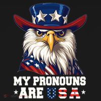 My Pronouns Are Usa Funny Eagle 4 July American Ornament thumb 1