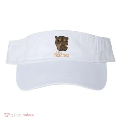 Visor