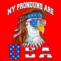 My Pronouns Are Usa Eagle American Santa Hat thumb 1