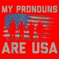 My Pronouns Are Usa Santa Hat thumb 1