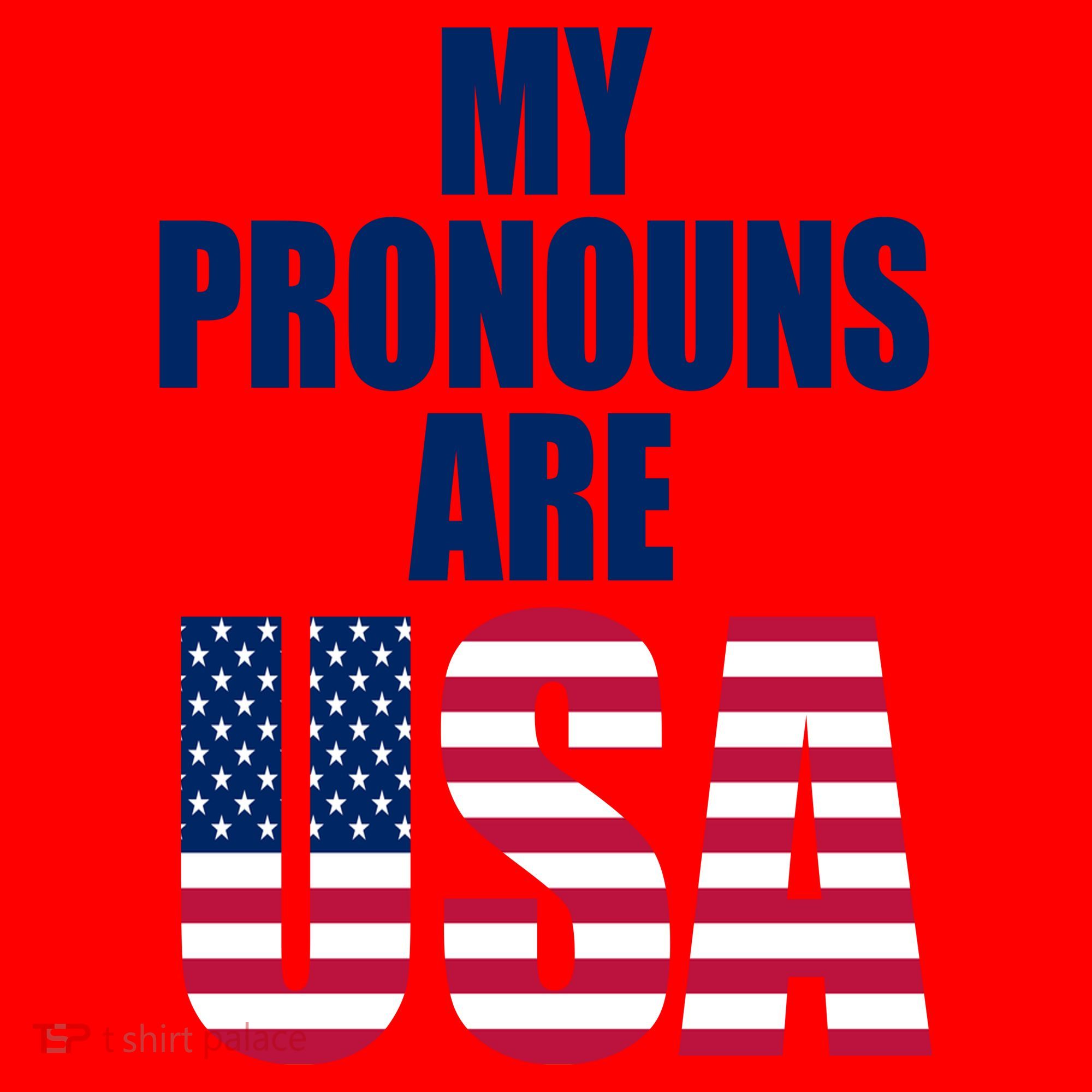 My Pronouns Are USA Patriotic Santa Hat