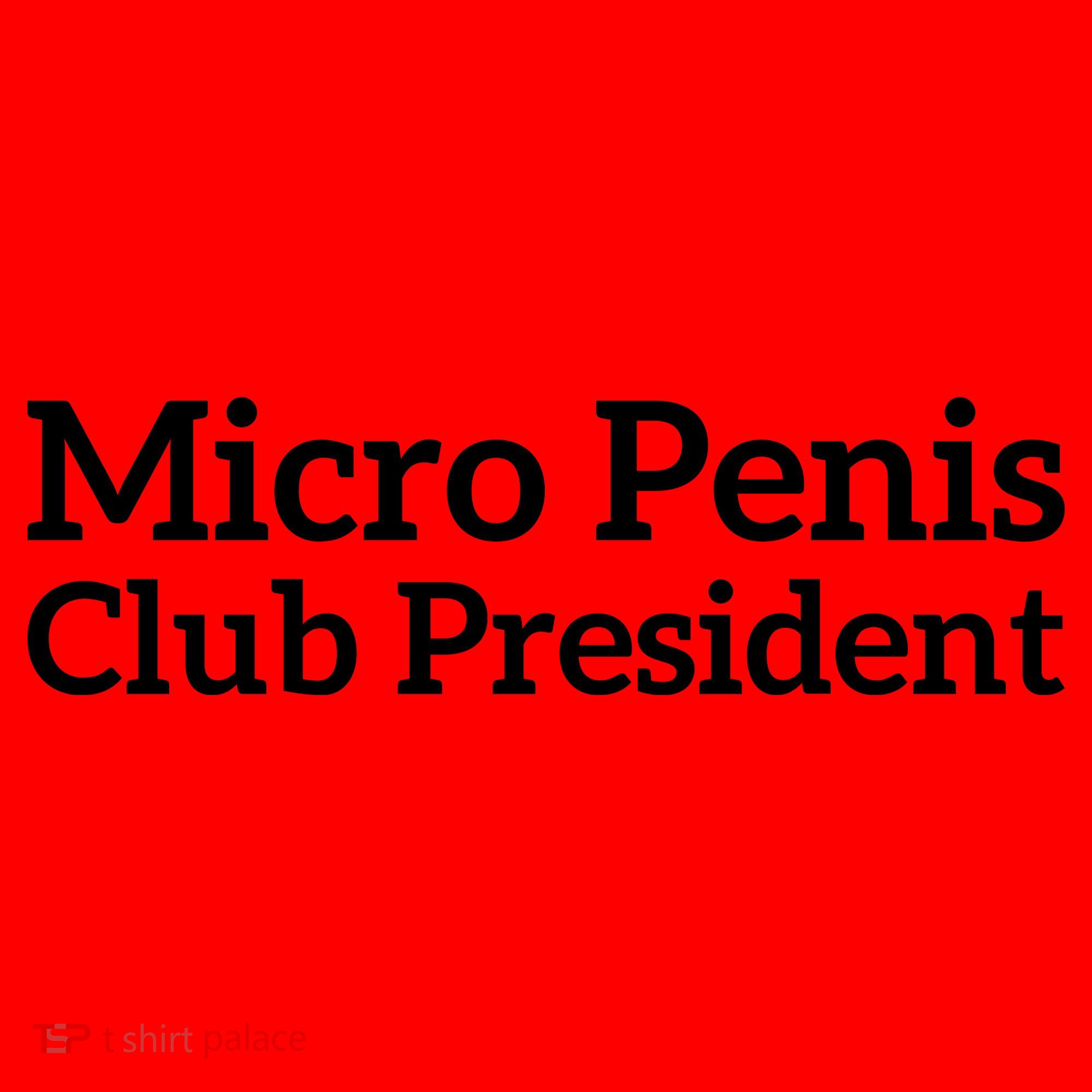 Micro Penis Club President Santa Hat