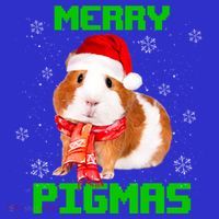 Merry Pigmas Christmas Guinea Pig Santa Hat Light In Snow Great Gift Women's T-Shirt thumb 6
