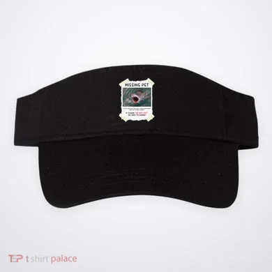 Visor