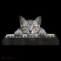 Musician Piano Cat T For Music Lovers Mousepad thumb 1