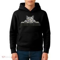 Musician Piano Cat T For Music Lovers Kids Hoodie thumb 4