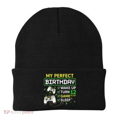My Perfect Day Video Game 12 Year Old Gift 12th Birthday Beanie