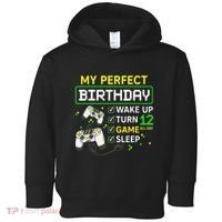 My Perfect Day Video Game 12 Year Old Gift 12th Birthday Toddler Hoodie thumb 0