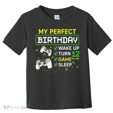 My Perfect Day Video Game 12 Year Old Gift 12th Birthday Toddler T-Shirt