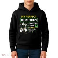 My Perfect Day Video Game 12 Year Old Gift 12th Birthday Kids Hoodie thumb 4