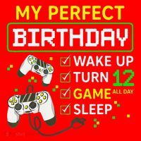 My Perfect Day Video Game 12 Year Old Gift 12th Birthday Santa Hat thumb 1