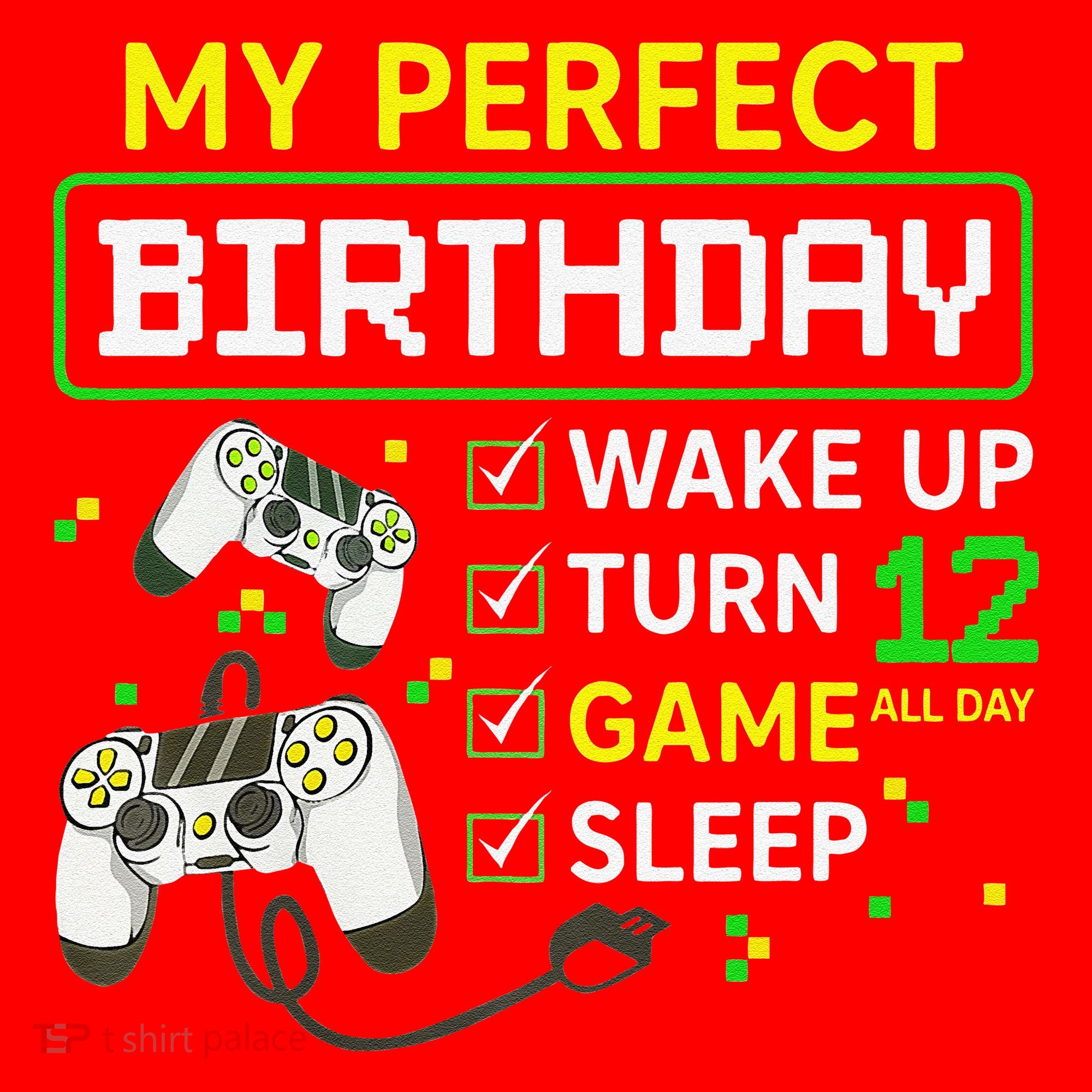 My Perfect Day Video Game 12 Year Old Gift 12th Birthday Santa Hat