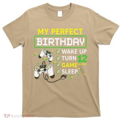 My Perfect Day Video Game 12 Year Old Gift 12th Birthday T-Shirt