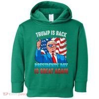 Make PresidentS Day Great Again President Trump Usa America Toddler Hoodie thumb 0