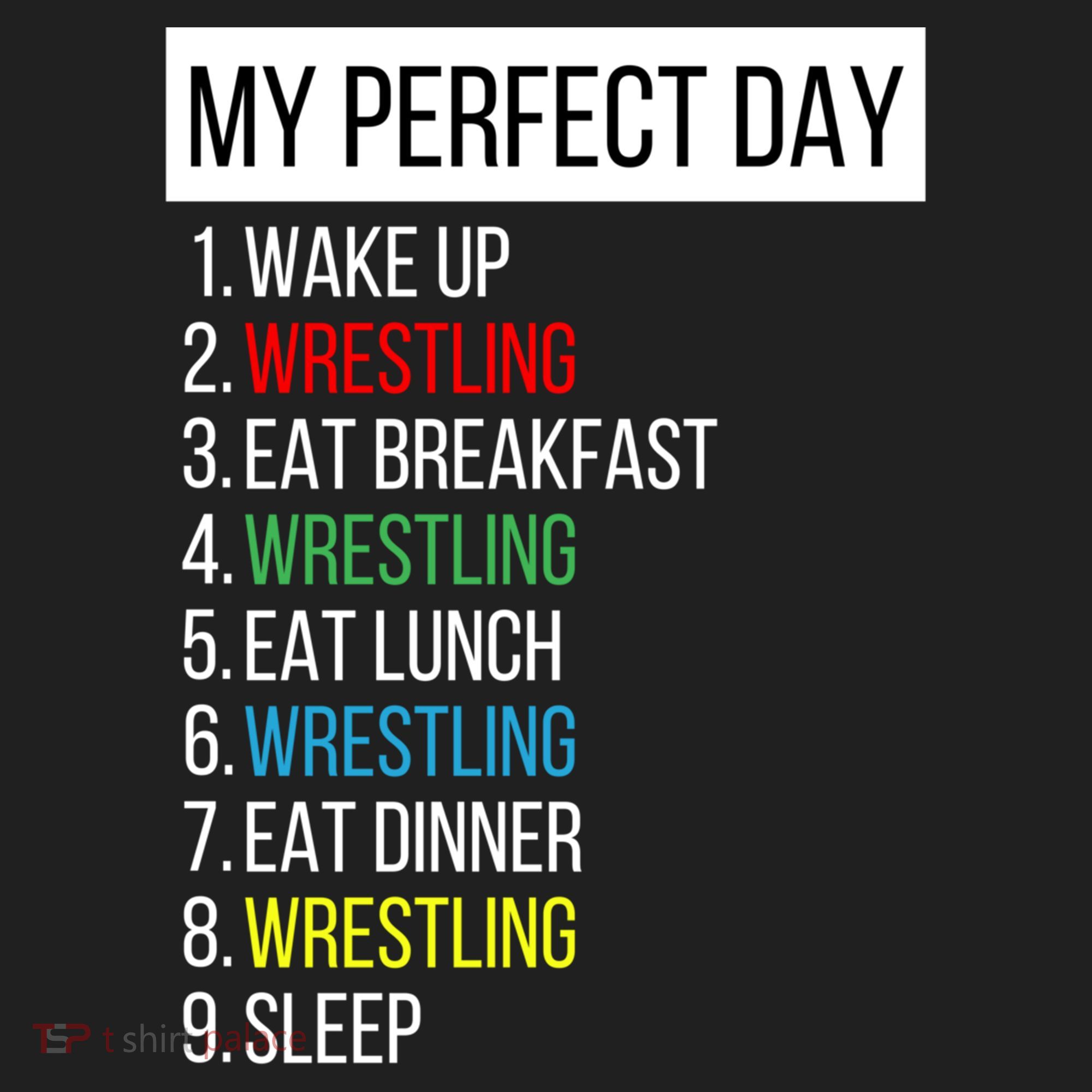 My Perfect Day Wrestling Great Gift Women's Sweatshirt