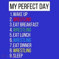 My Perfect Day Wrestling Great Gift Sweatshirt thumb 3