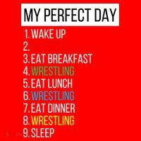 My Perfect Day Wrestling Great Gift Santa Hat thumb 1
