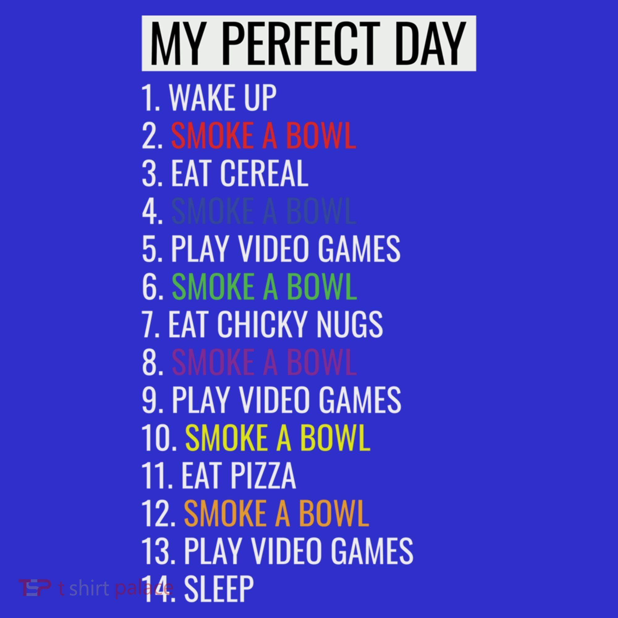 My Perfect Day Funny Weed Video Game Gift Women's T-Shirt
