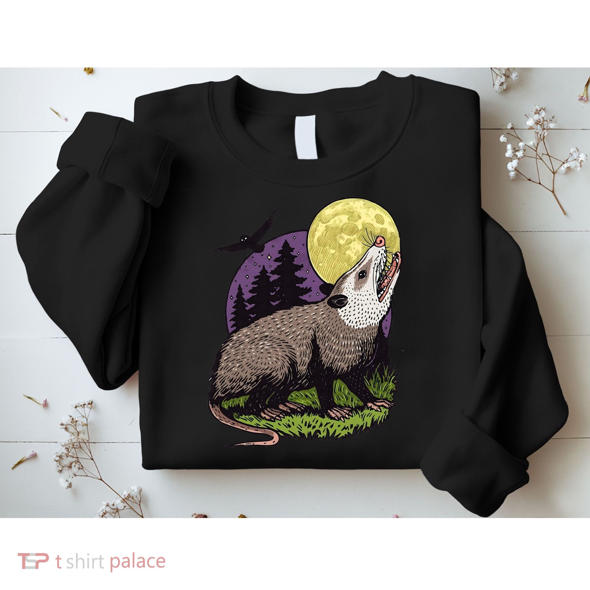 Moon Possum Funny Marsupial Rodent Opossums Retro Art Groovy Sweatshirt