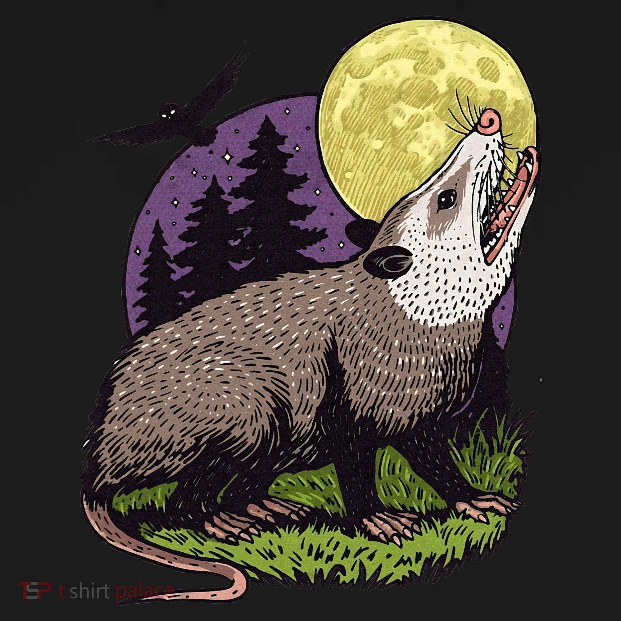 Moon Possum Funny Marsupial Rodent Opossums Retro Art Groovy Women's Hoodie