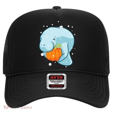 Manatee Pumpkin Fall Halloween Thanksgiving Sea Cow Gift Hat