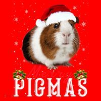 Merry Pigmas Face Mask Funny Guinea Pig Christmas Santa Xmas Santa Hat thumb 1