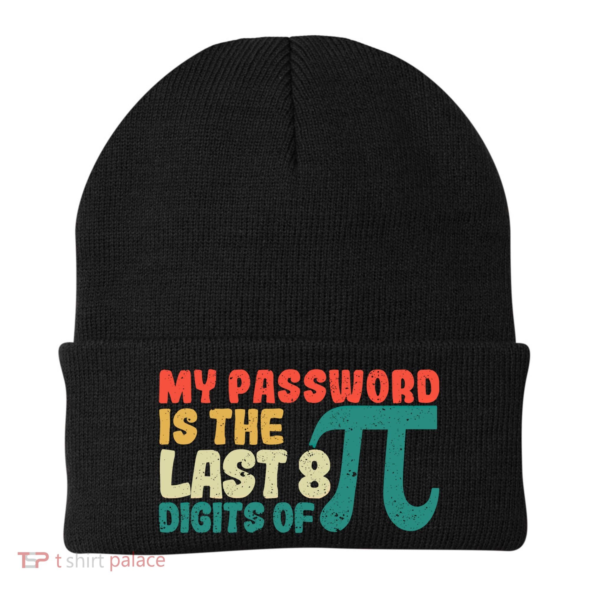 My Password Is The Last 8 Digits Of Pi Day Art Symbol Lover Gift Beanie