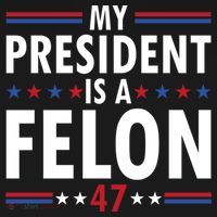 My President Is A Felon Gift Bucket Hat thumb 4