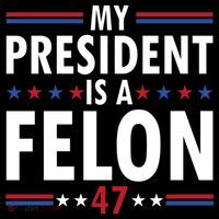 My President Is A Felon Gift Coffee Mug thumb 5