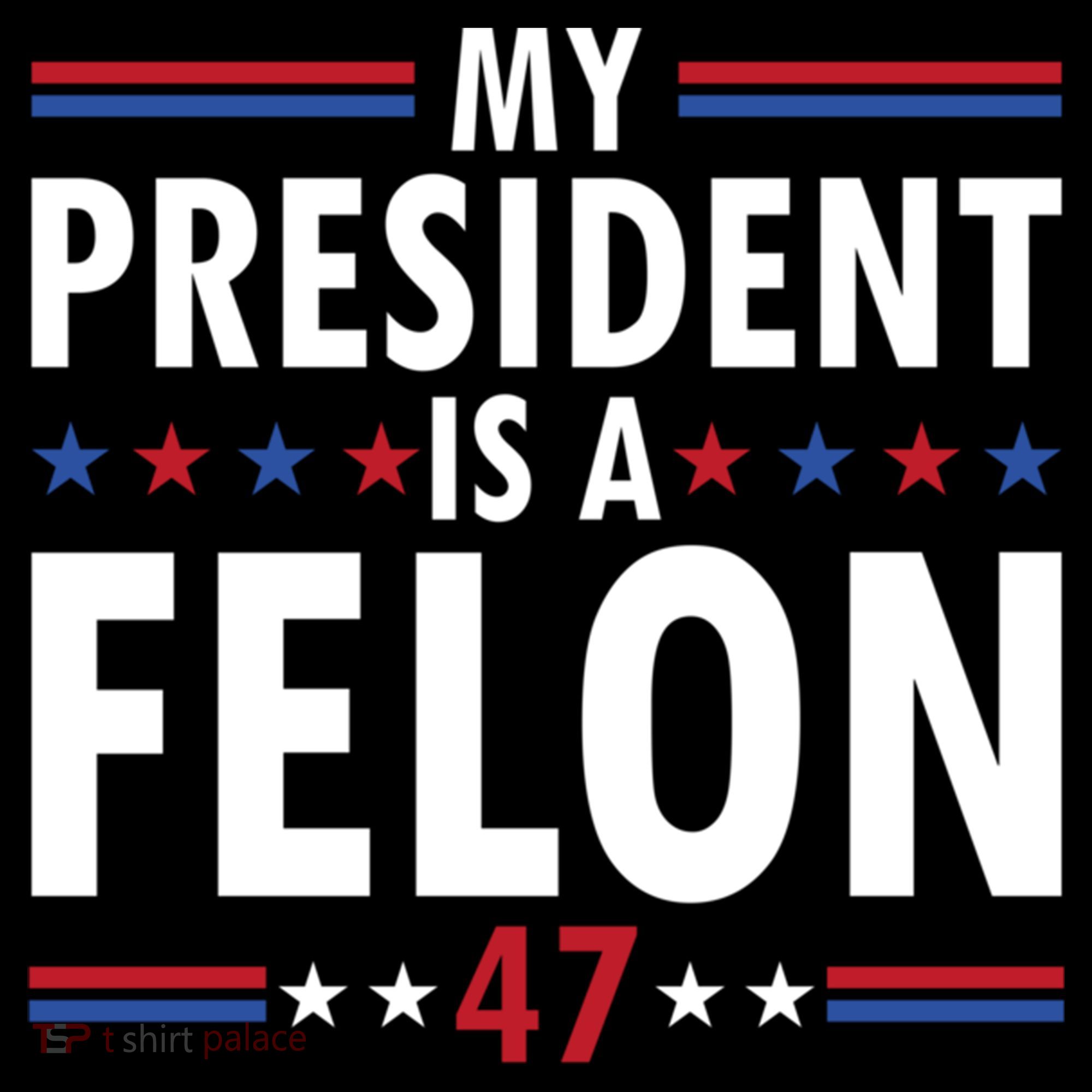My President Is A Felon Gift Coffee Mug