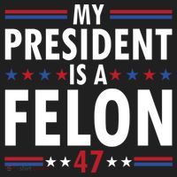 My President Is A Felon Gift Beanie thumb 2