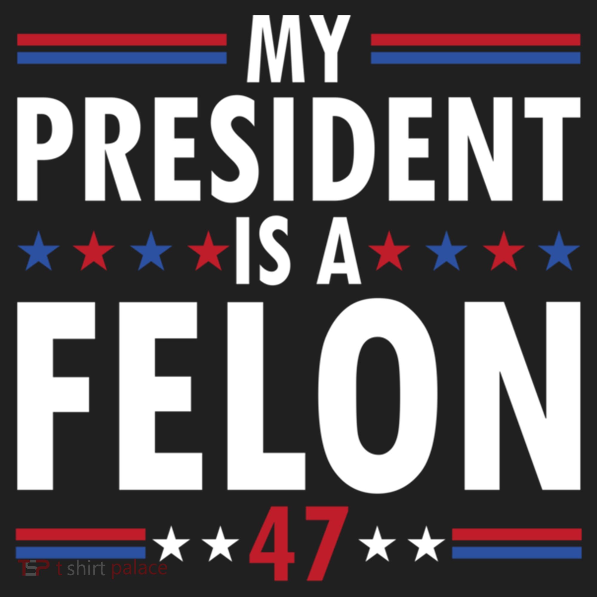 My President Is A Felon Gift Beanie