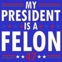 My President Is A Felon Gift Apron thumb 3