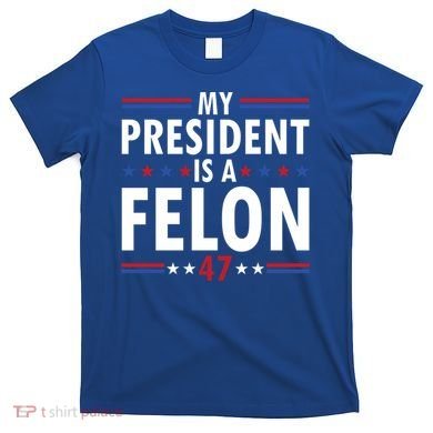 My President Is A Felon Gift T-Shirt