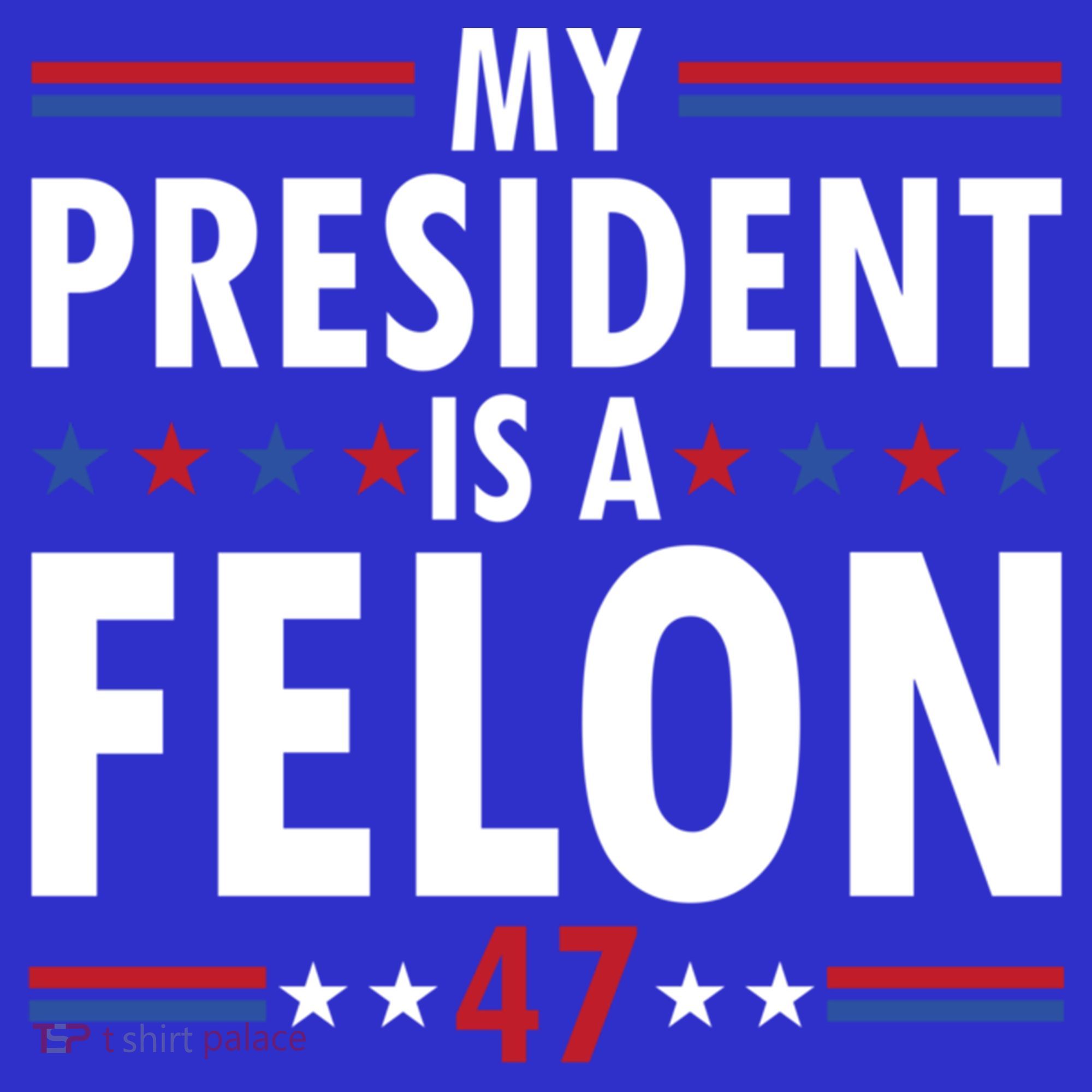 My President Is A Felon Gift Coaster