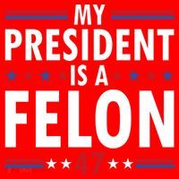 My President Is A Felon Gift Santa Hat thumb 1