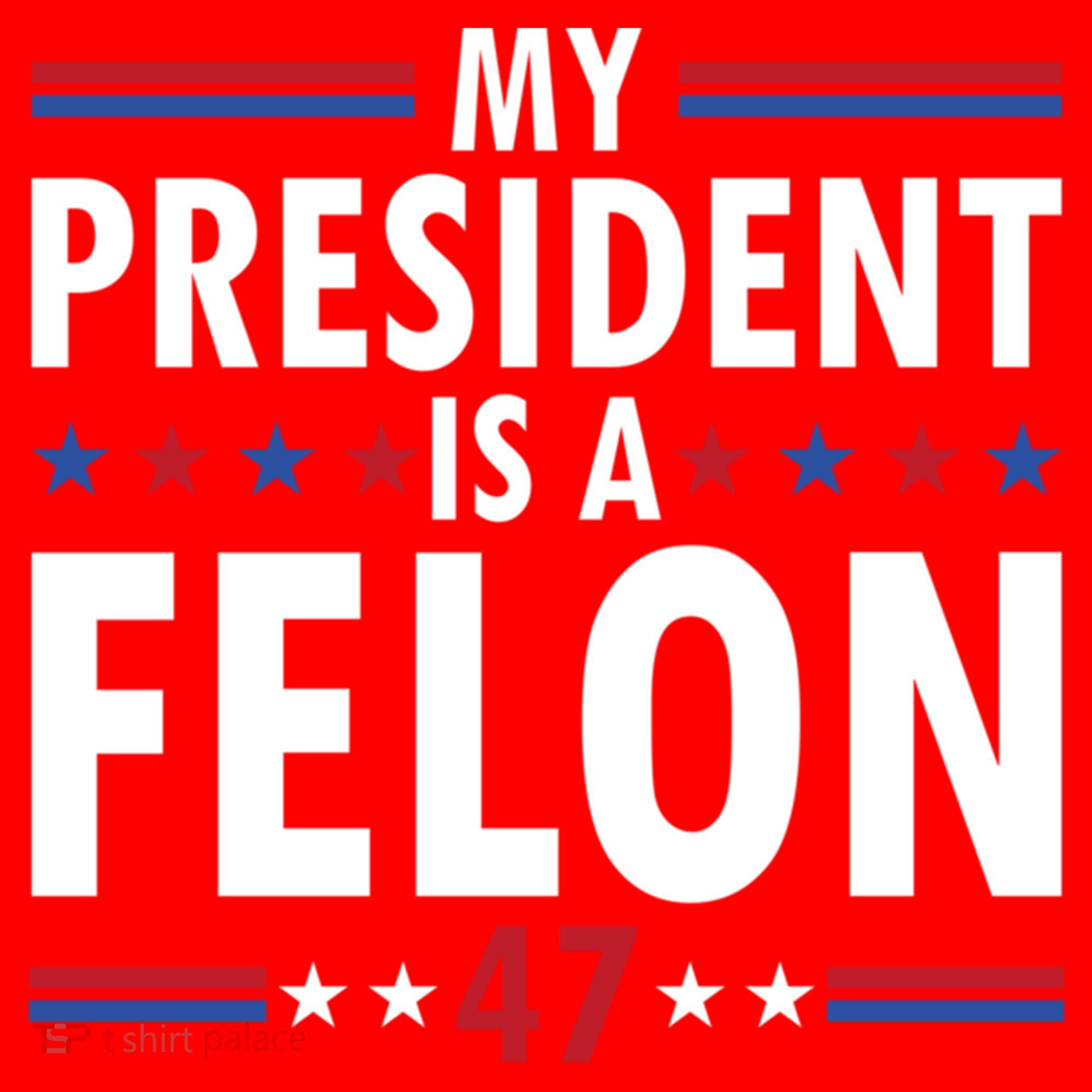 My President Is A Felon Gift Santa Hat