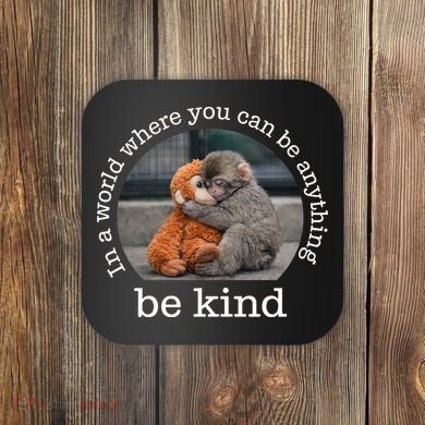 Monkey Punch In The World Where You Can Be Anything Be Kind Coaster