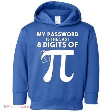 My Password Is The Last 8 Digits Of Pi Gift For Lovers Toddler Hoodie