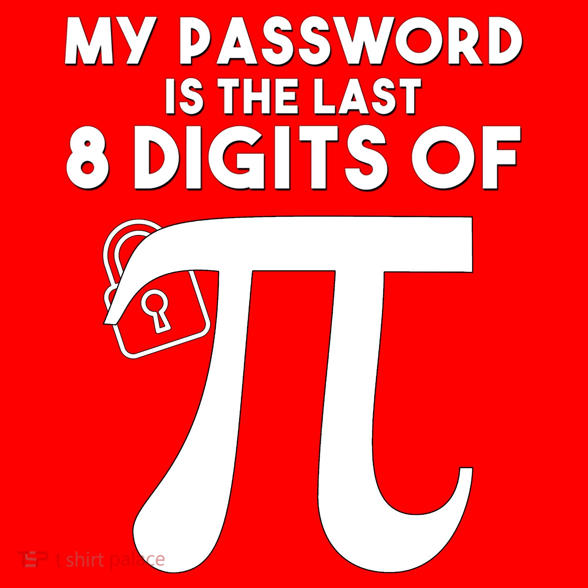 My Password Is The Last 8 Digits Of Pi Gift For Lovers Santa Hat