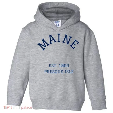 Toddler Hoodie