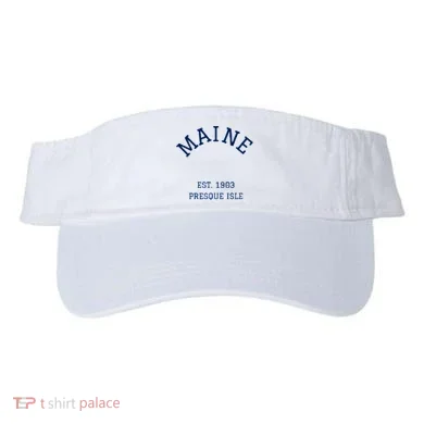 Visor